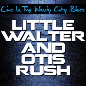 Live In the Windy City Blues artwork