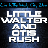 Walter's Blues (Live) song art