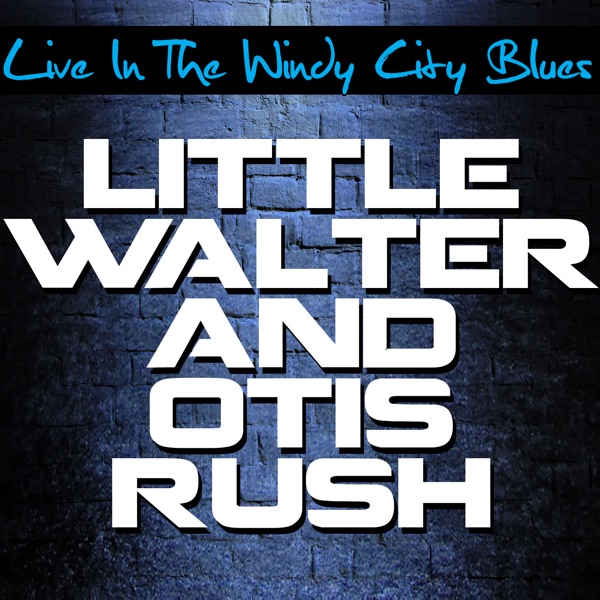 Live In the Windy City Blues