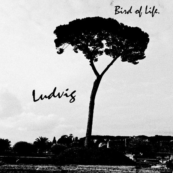 Bird of Life - Single