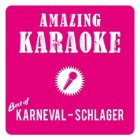 Amazing Karaoke - Mach dein Ding - Dingeling (Karaoke Version) [Originally Performed By Domstürmer]
