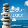 Chill Out Senses, Vol. 3