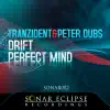 Peter Dubs & Tranzident - Drift (Daniel Kandi & Mark Andréz Rushed Mix)