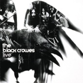 Black Crowes - Cosmic Friend