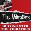 The Vibrators The Kid's a Mess (Live) Buzzing with the Vibrators: The Dave Cash Collection