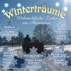 Winterträume, 2010