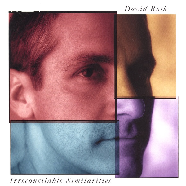 Cover of Irreconcilable Similarities