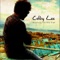Sun King - Colby Lee lyrics