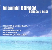 Bonaca