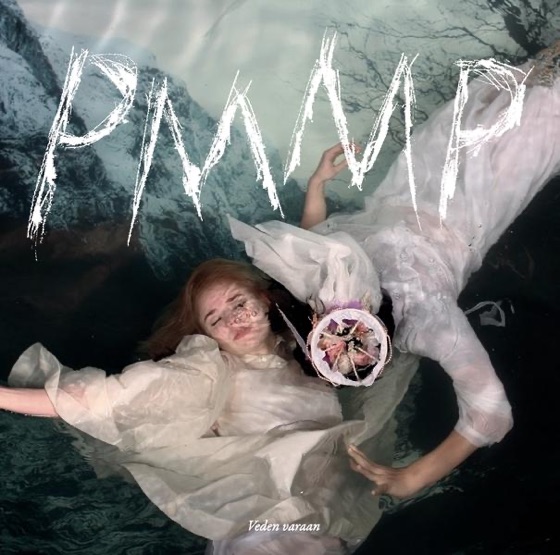 Cover artwork for Pariterapiaa