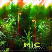 Timenvu - Mic