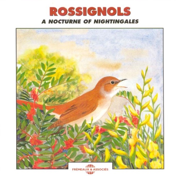 A Nocturne of Nightingales (Rossignols)