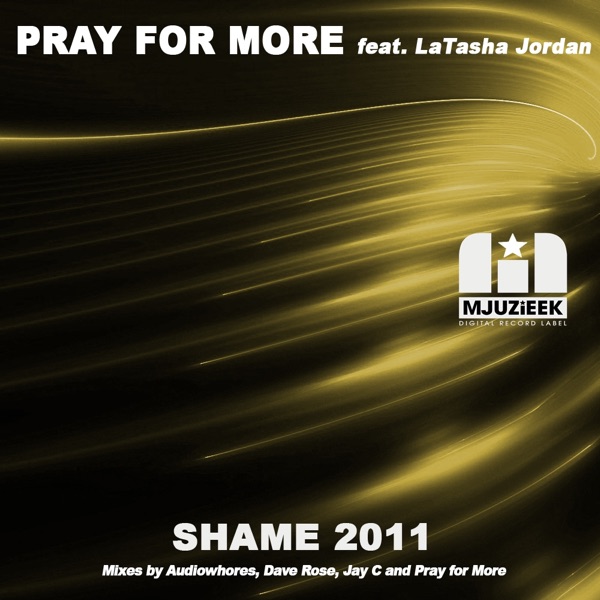 Shame 2011 (feat. LaTasha Jordan) [Remixes]