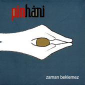 Ne Güzel Güldün - Pinhani