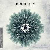 Cover art for Stick By This (Bonus Track Version) by Dusky