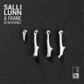 Salli Lunn - Mirror Girl (Scott Solter Remix)