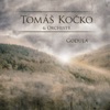 Tomas Kocko & Orchestr - Godovnica