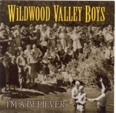 Wildwood Valley Boys - A Box Seat In Heaven