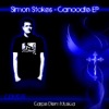 Canoodle (Simon Stokes Remix)