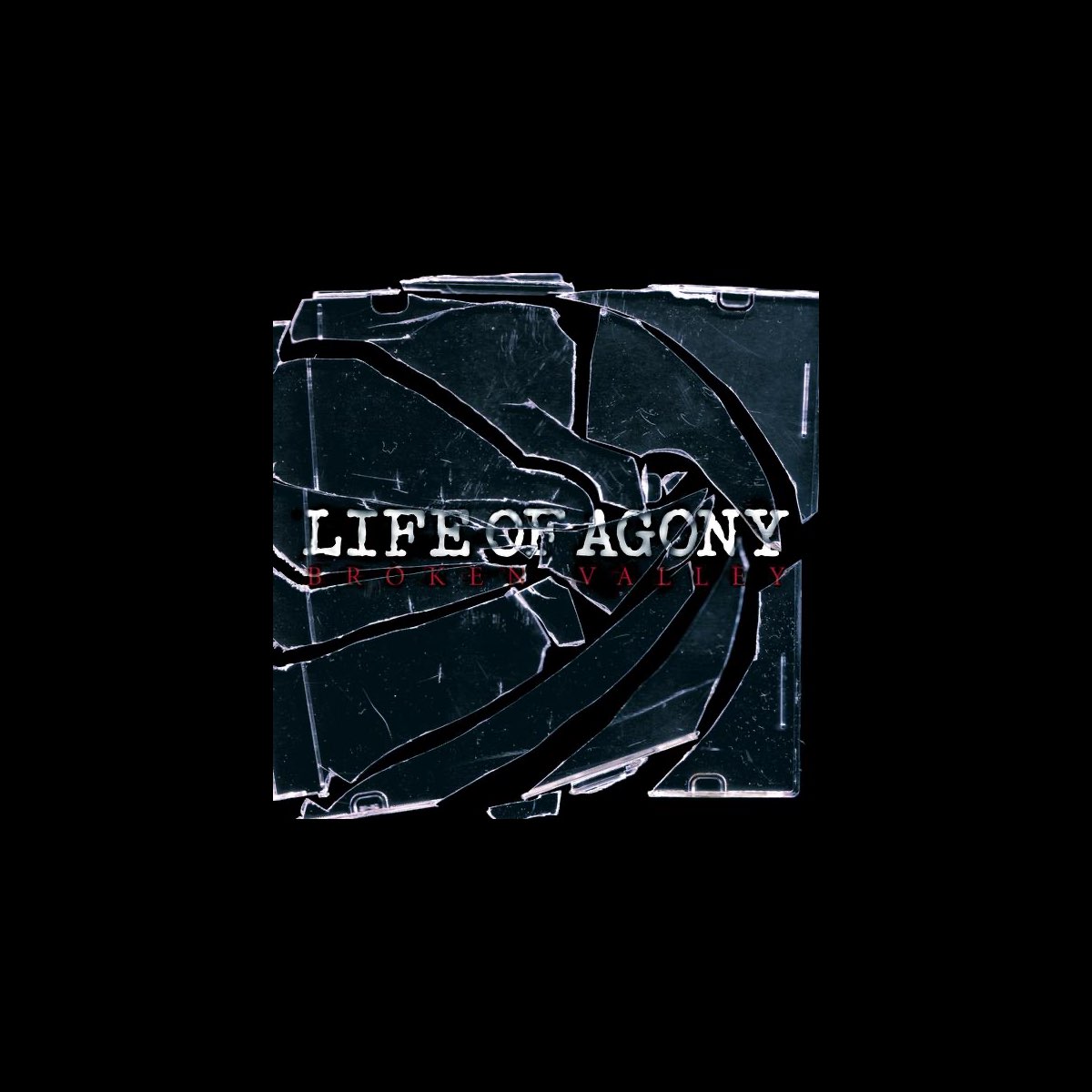 ‎Broken Valley Album by Life of Agony Apple Music