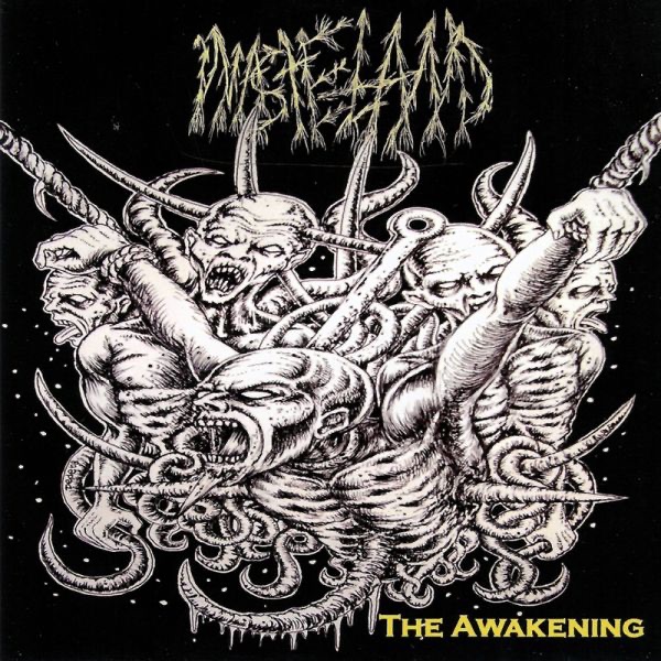Обложка альбома «The Awakening» — Wasteland