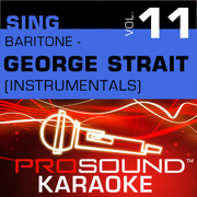 Heartland (Karaoke With Background Vocals) [In the Style of George Strait] - ProSound Karaoke Band