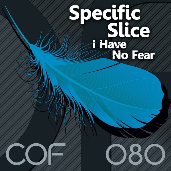 I Have No Fear - Single