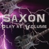 Saxon Play at Volume, 2011