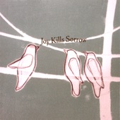 Joy Kills Sorrow - Train On the Island