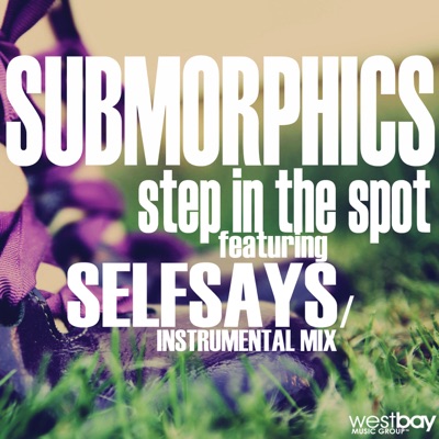 Step In the Spot (feat. Selfsays) - Single