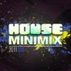 House Mini Mix 2011 - 009