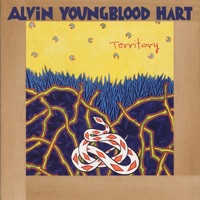 Alvin Youngblood Hart - Illinois Blues