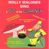 A Bit Of The Blarney