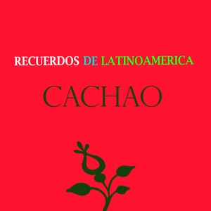 Recuerdos de Latinoamérica: Cachao