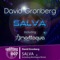 Salva (Morttagua Remix) - David Gronberg lyrics