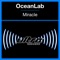 Miracle (Fletch Remix) - OceanLab lyrics