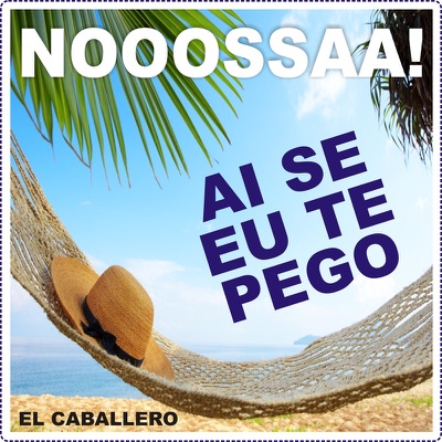 Ai Se Eu Te Pego - Single