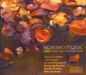 Various Artists - Im Dorfe