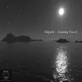 Evening Coast