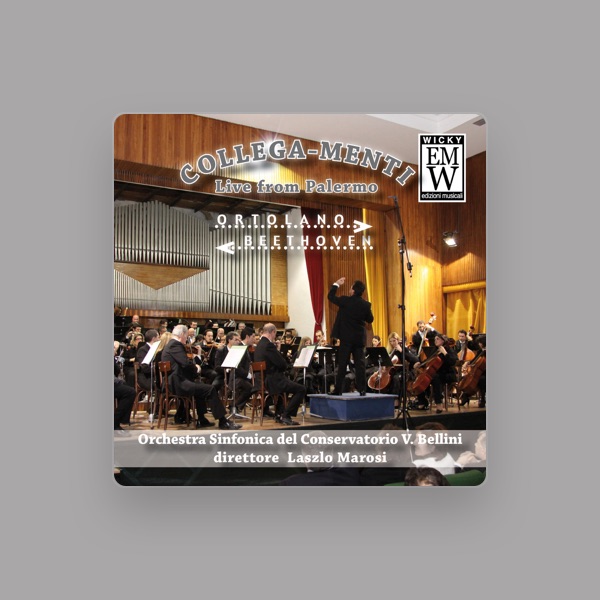 Orchestra Sinfonica del Conservatorio V. Bellini di Palermo's avatar