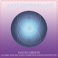 Anti-Depressant - David Gibson