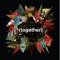 Hounds (feat. Nicole Atkins) - The Antlers lyrics