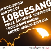 Symphonie Nr. 2 Lobgesang: 1 Sinfonia: Allegretto un poco agitato artwork