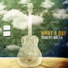 What a Day - Robert Galea