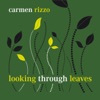 Grant Lee Phillips Bring the Mountain Down (feat. Grant Lee Phillips) Looking Through Leaves