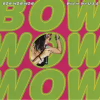Do You Want To Hold Me? — Bow Wow Wow
