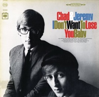 I Don't Wanna Lose You Baby