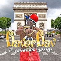 I'll Never Let You Go - Single - Flavor Flav