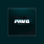 Pavo