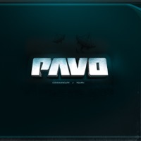 Communicate - Pavo